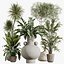 AV Indoor Plants Set 402 Areca Palm and Japandi Decorative and Yucca and Ficus and Zamioculcas