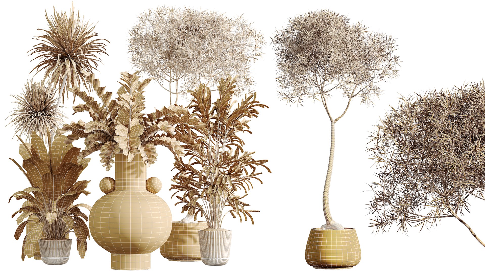 AV Indoor Plants Set 402 Areca Palm and Japandi Decorative and Yucca and Ficus and Zamioculcas 3D https://p.turbosquid.com/ts-thumb/rY/8K2wPi/Jd/07/png/1763449730/1920x1080/fit_q87/7988bd75de2aed81ae125ccf5ea1be7ff9fb41cf/07.jpg