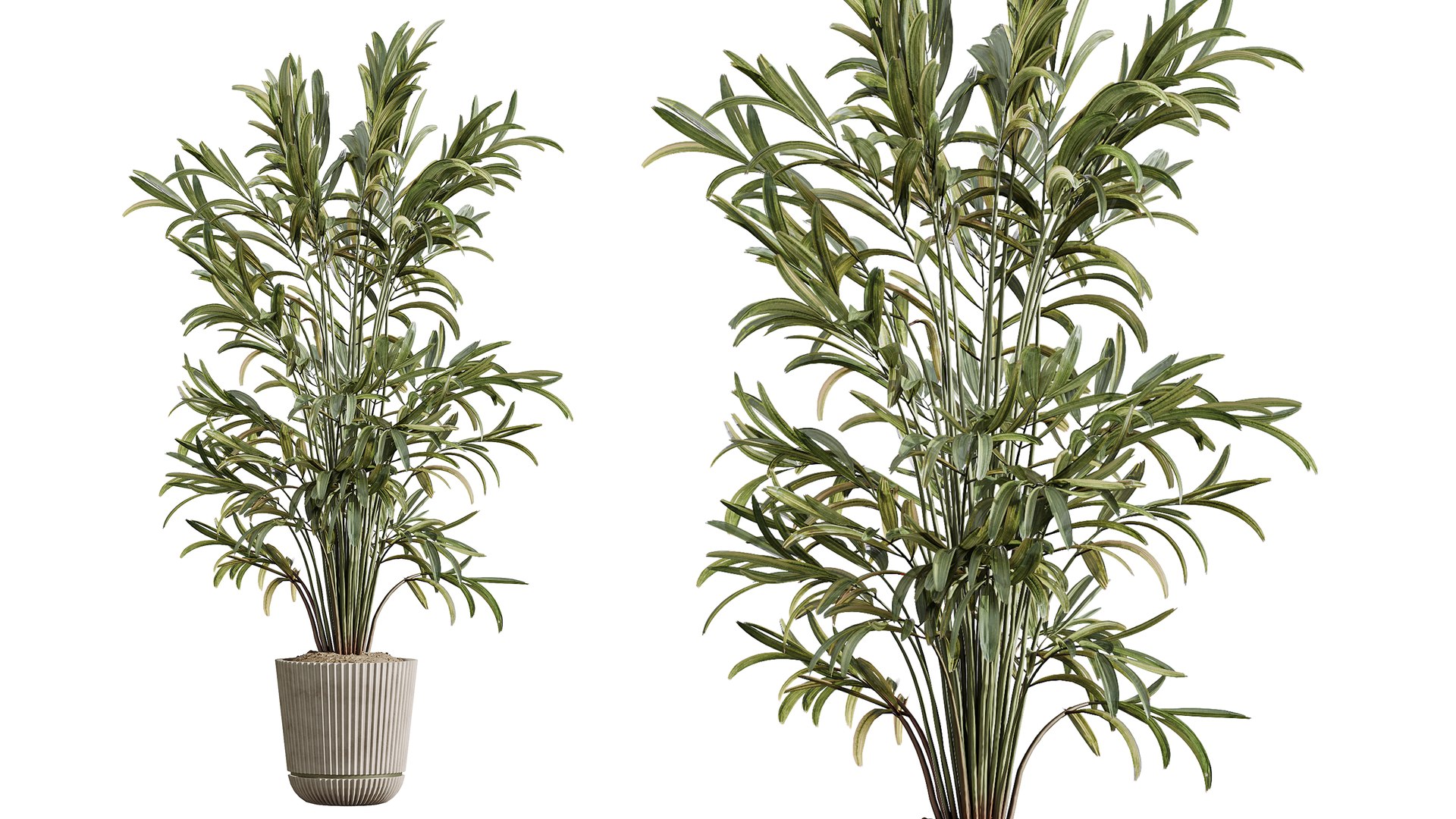 AV Indoor Plants Set 402 Areca Palm and Japandi Decorative and Yucca and Ficus and Zamioculcas 3D https://p.turbosquid.com/ts-thumb/rY/8K2wPi/zp/06/png/1763449727/1920x1080/fit_q87/2360db04f2324a620cab712eb1061dcfc352ef7d/06.jpg