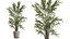 AV Indoor Plants Set 402 Areca Palm and Japandi Decorative and Yucca and Ficus and Zamioculcas