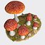 Fly Agaric