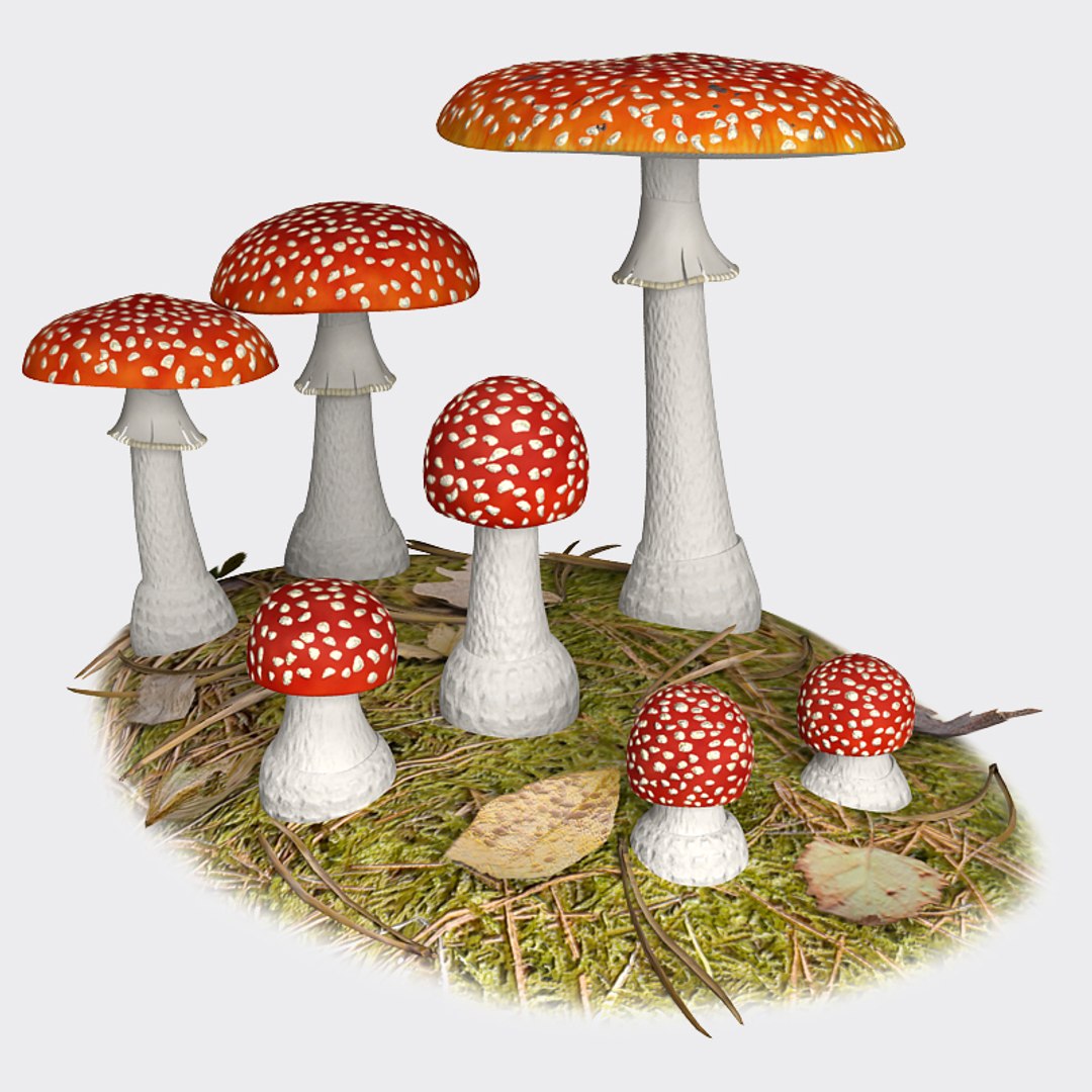 fly agaric 3d model https://p.turbosquid.com/ts-thumb/rY/9Y6iJI/FcomQxJ0/fa_06/jpg/1329860355/1920x1080/fit_q87/d1678faa3b8d12620aff5c090b95e1db648a20b3/fa_06.jpg