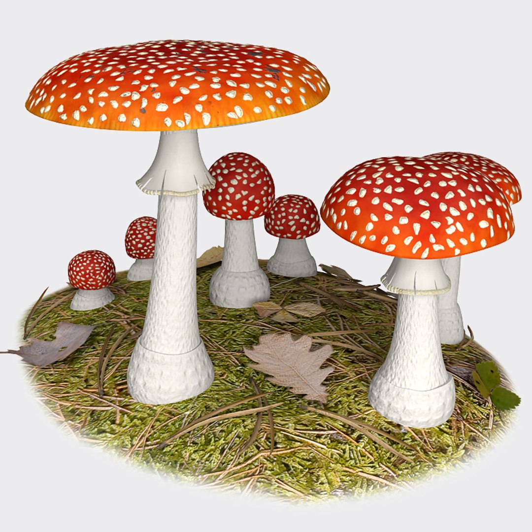 fly agaric 3d model https://p.turbosquid.com/ts-thumb/rY/9Y6iJI/jgELTiMU/fa_04/jpg/1329860355/1920x1080/fit_q87/81f966d95434e332100e32fd19d32fb6f4abcf95/fa_04.jpg
