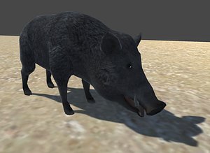 boar rigged animations fbx