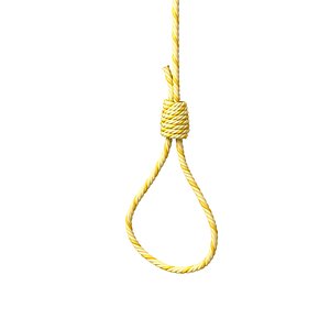 3D model gibbet noose 2