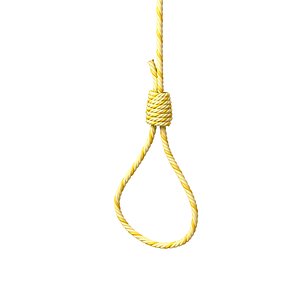 Gibbet Noose 2