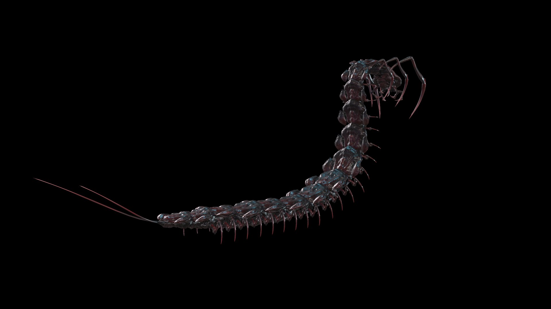 3D Centipede - TurboSquid 1742016