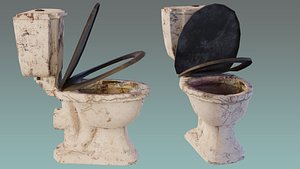 Dirty vs Clean Toilet