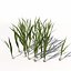Arroz XfrogPlants