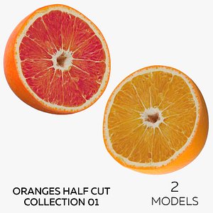 Oranges Half Cut Collection 01 - 2 models model