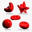 Red Blood Cells