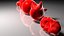 Red Blood Cells