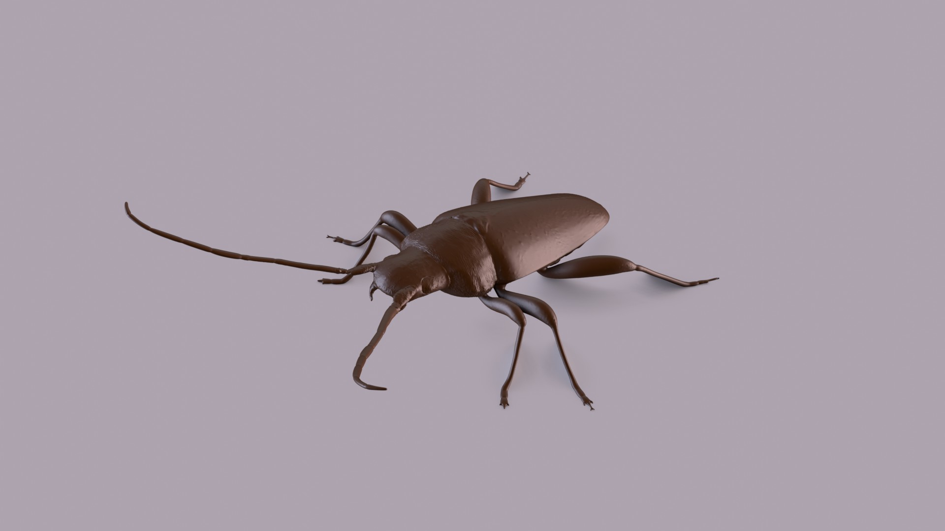 3D longhorn beetle https://p.turbosquid.com/ts-thumb/rY/ijPTf0/77/longhornp/jpg/1748680618/1920x1080/turn_fit_q99/15e061deaa9ca258af2116a364611015cbad643a/longhornp-1.jpg