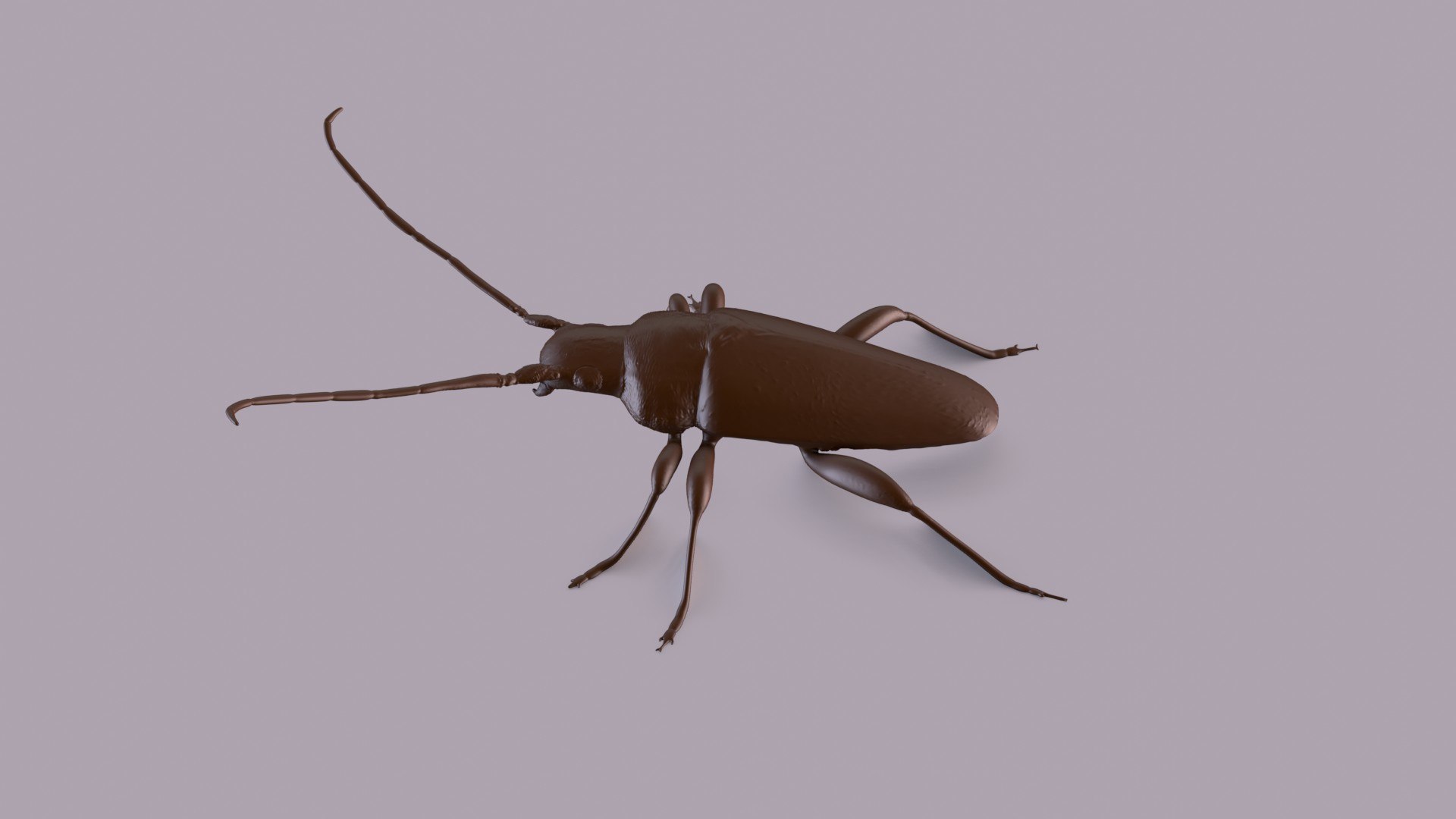 3D longhorn beetle https://p.turbosquid.com/ts-thumb/rY/ijPTf0/7P/longhornp_0010/jpg/1617126386/1920x1080/fit_q87/0f4340eec7a17bbedcf24b27cd370c2908fedadb/longhornp_0010.jpg