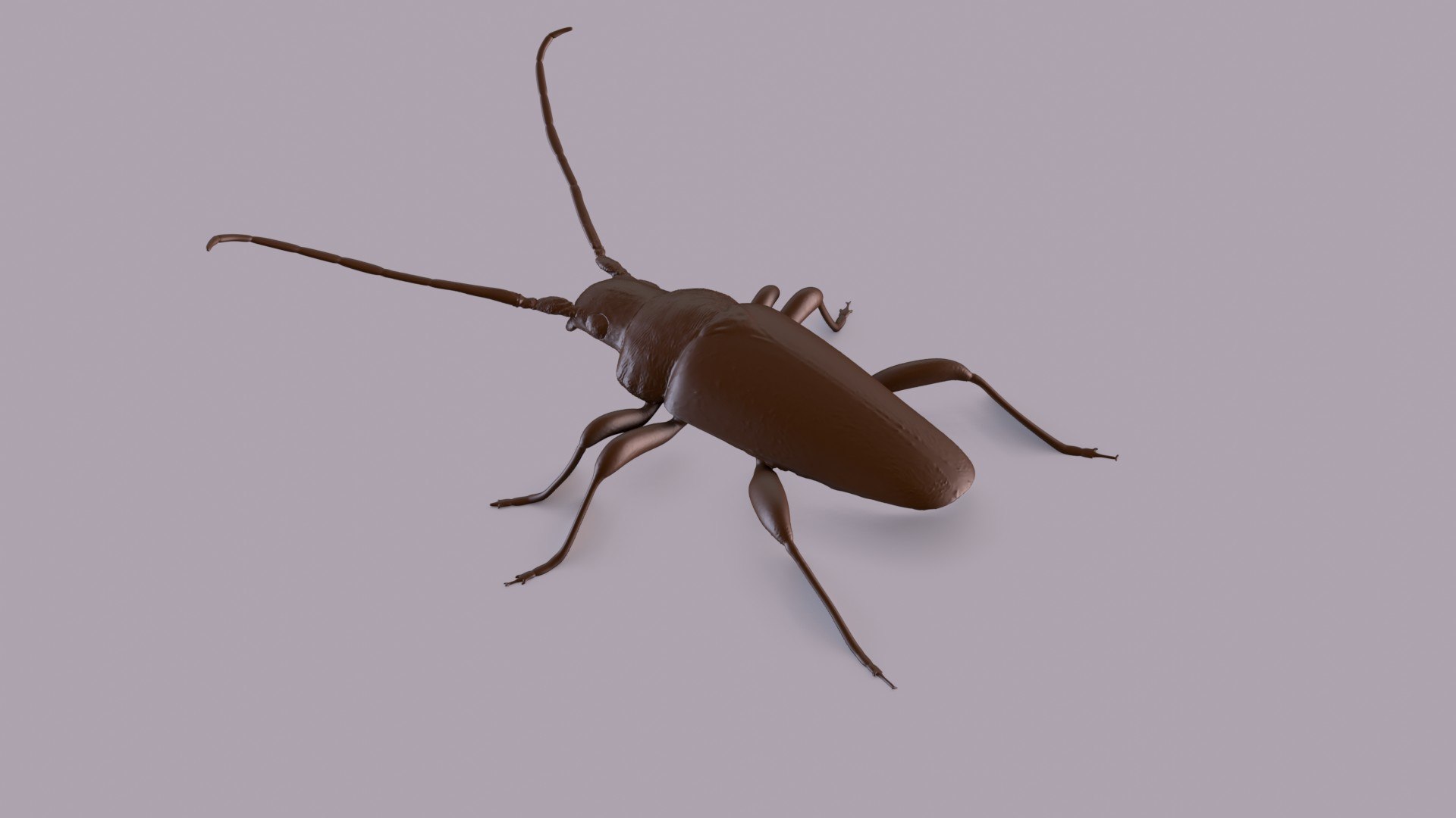 3D longhorn beetle https://p.turbosquid.com/ts-thumb/rY/ijPTf0/A0/longhornp_0009/jpg/1617126386/1920x1080/fit_q87/4123427977cf4d96a62bd1e5a0033eefb3f55fb2/longhornp_0009.jpg