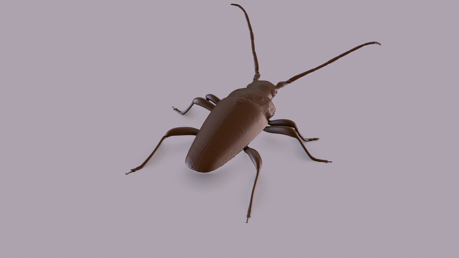 3D longhorn beetle https://p.turbosquid.com/ts-thumb/rY/ijPTf0/HO/longhornp_0007/jpg/1617126386/1920x1080/fit_q87/9fe729e70db2f97c701ed08bae53b94c39e9b032/longhornp_0007.jpg