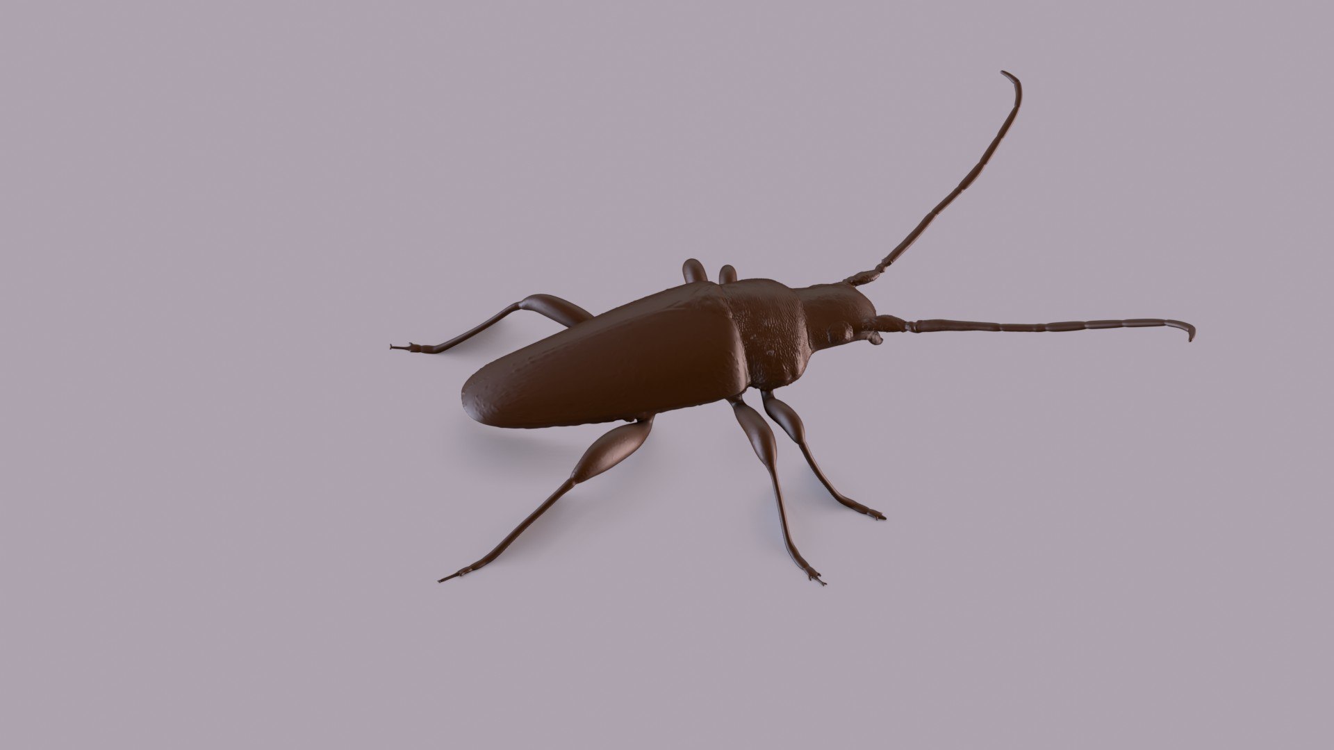 3D longhorn beetle https://p.turbosquid.com/ts-thumb/rY/ijPTf0/MQ/longhornp_0006/jpg/1617126383/1920x1080/fit_q87/8f4ce580652eb80a4968b708a7e7886bc6f1a2ef/longhornp_0006.jpg