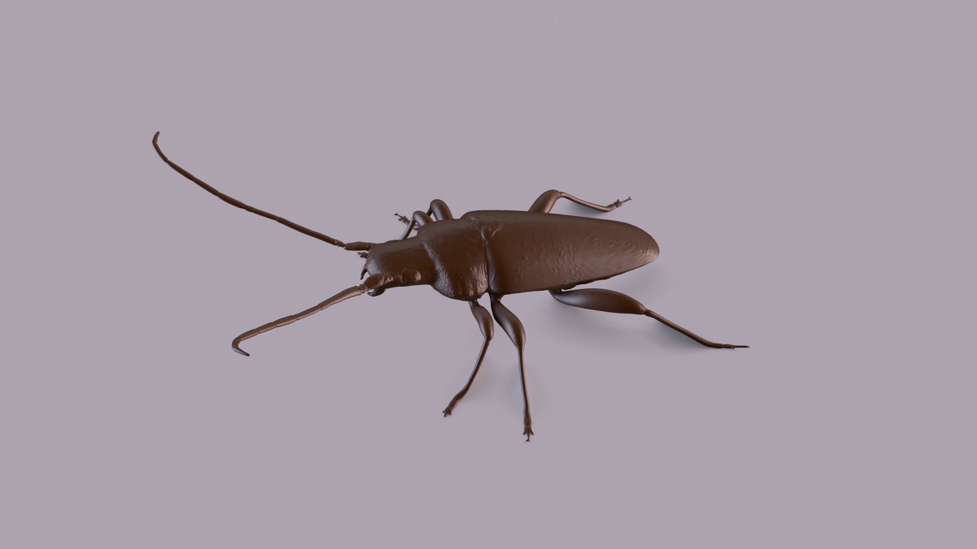 3D longhorn beetle https://p.turbosquid.com/ts-thumb/rY/ijPTf0/Mu/longhornp_0011/jpg/1617126392/1920x1080/fit_q87/6a36e212fd018021cf8a2c58e6a7a02d8d638388/longhornp_0011.jpg