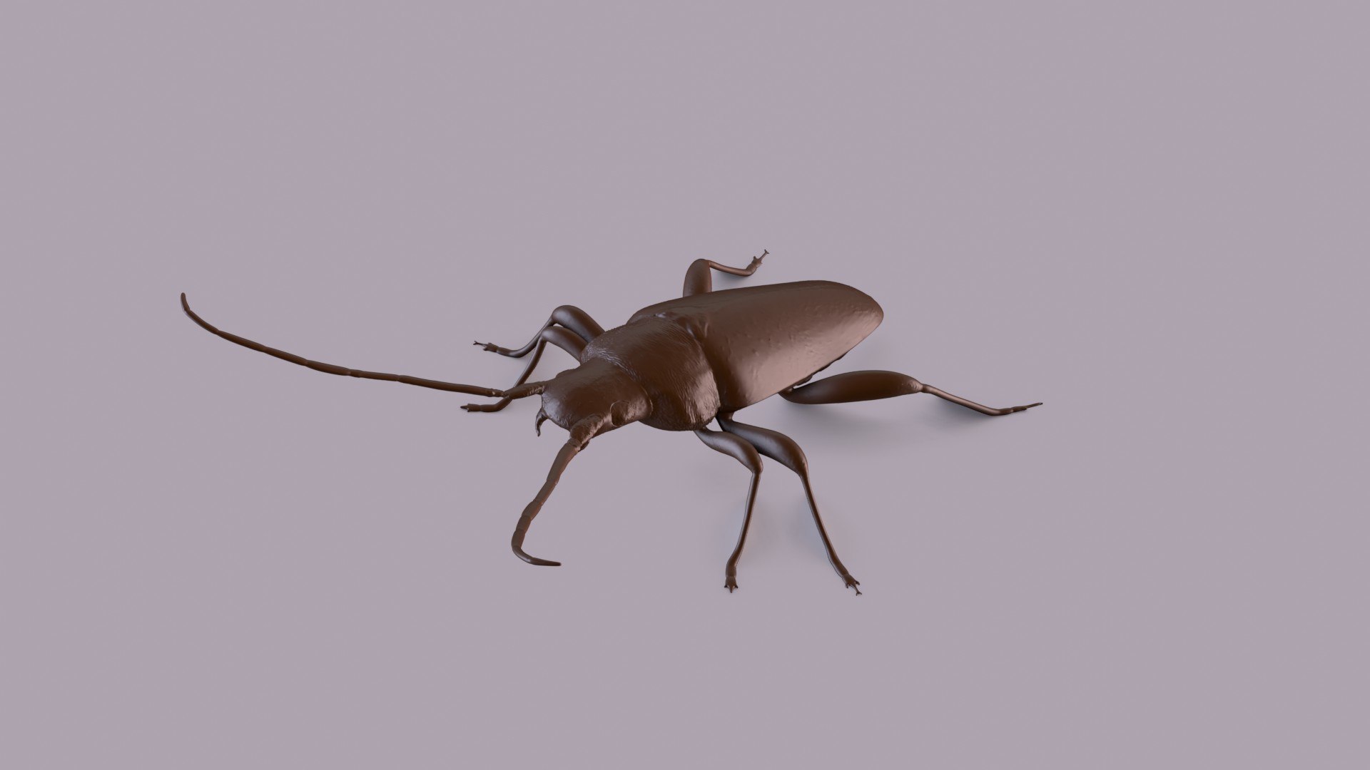 3D longhorn beetle https://p.turbosquid.com/ts-thumb/rY/ijPTf0/Uo/longhornp_0001/jpg/1617126383/1920x1080/fit_q87/d0b7b16b5bace30c0433ea7475636484a8bd09fd/longhornp_0001.jpg