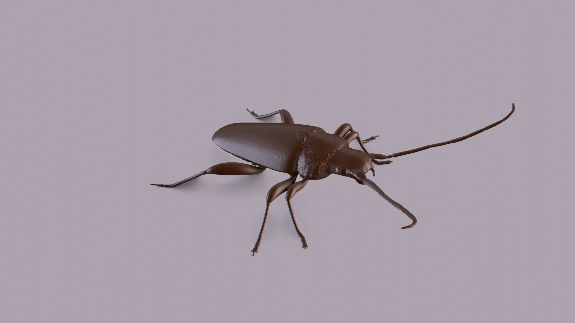 3D longhorn beetle https://p.turbosquid.com/ts-thumb/rY/ijPTf0/WR/longhornp_0005/jpg/1617126383/1920x1080/fit_q87/d79fbc64bc92479220109d4e0a77c7bb88e2b793/longhornp_0005.jpg