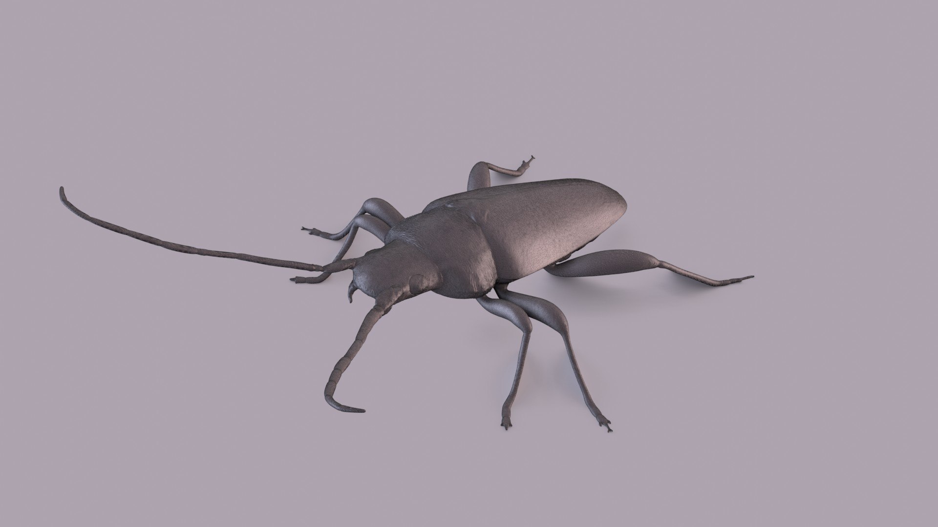 3D longhorn beetle https://p.turbosquid.com/ts-thumb/rY/ijPTf0/cY/longhornpw_0001/jpg/1617126384/1920x1080/fit_q87/551a76dc5b3c8c4354b273b2cce50c2047e590af/longhornpw_0001.jpg