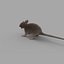 rat