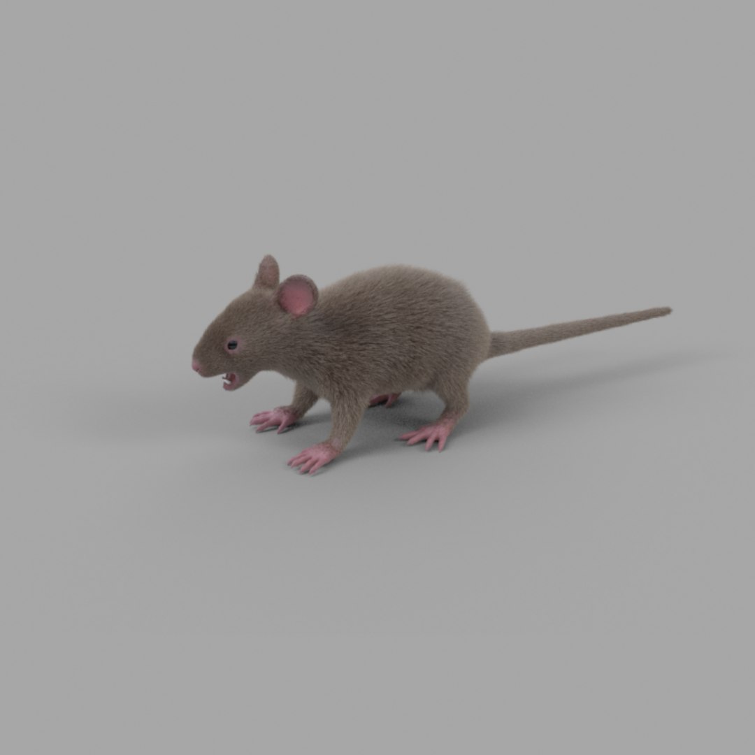 3D rat fur https://p.turbosquid.com/ts-thumb/rY/sLHhsu/MuSqSK6y/mice_022/jpg/1585076209/1920x1080/fit_q87/8ba0340d066a790e8f72eb4edec0a0e1eb83e7e3/mice_022.jpg