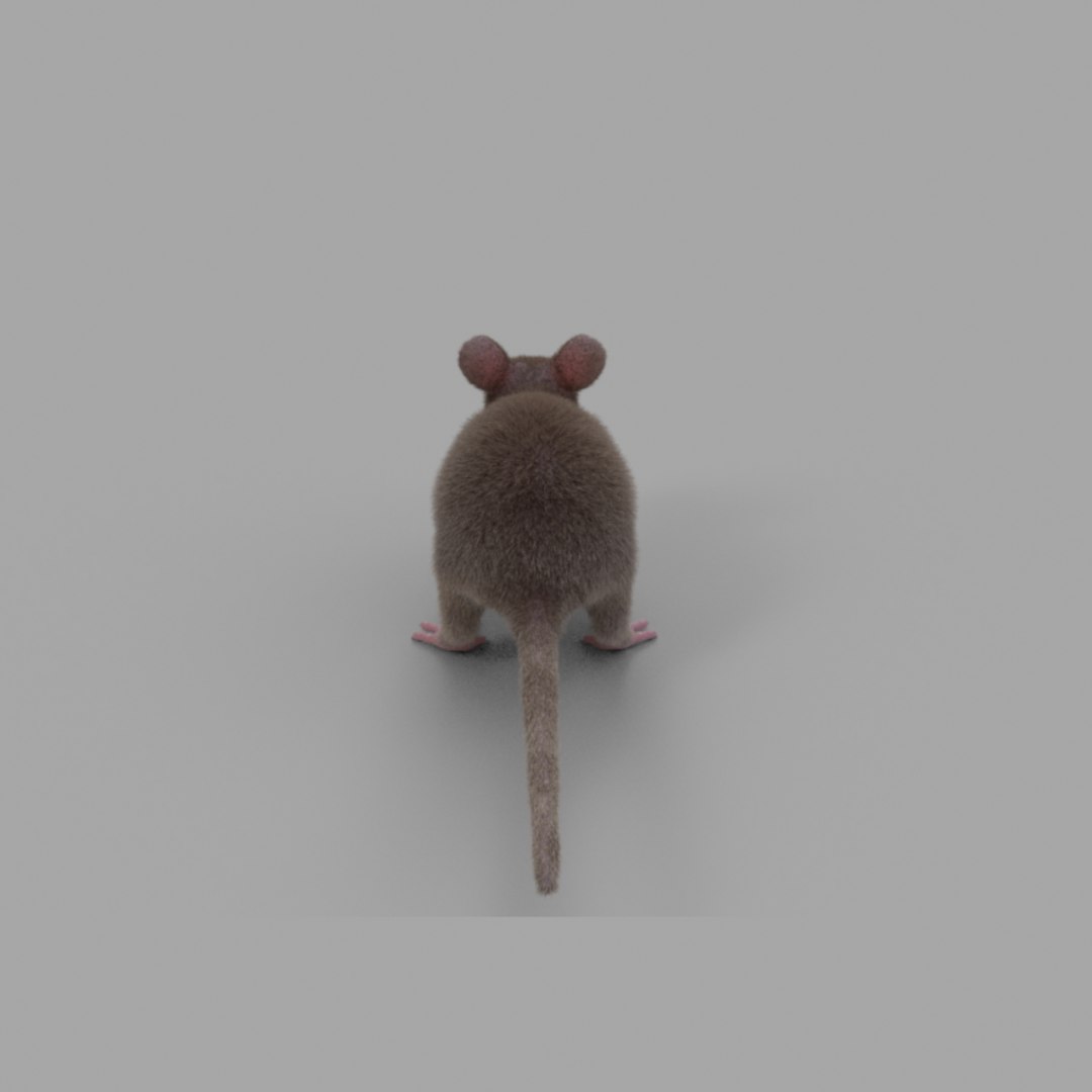 3D rat fur https://p.turbosquid.com/ts-thumb/rY/sLHhsu/fpbcRuuY/mice_209/jpg/1585076297/1920x1080/fit_q87/ea0706951e038ceadaa4f2090a48bc1723e9a2f5/mice_209.jpg