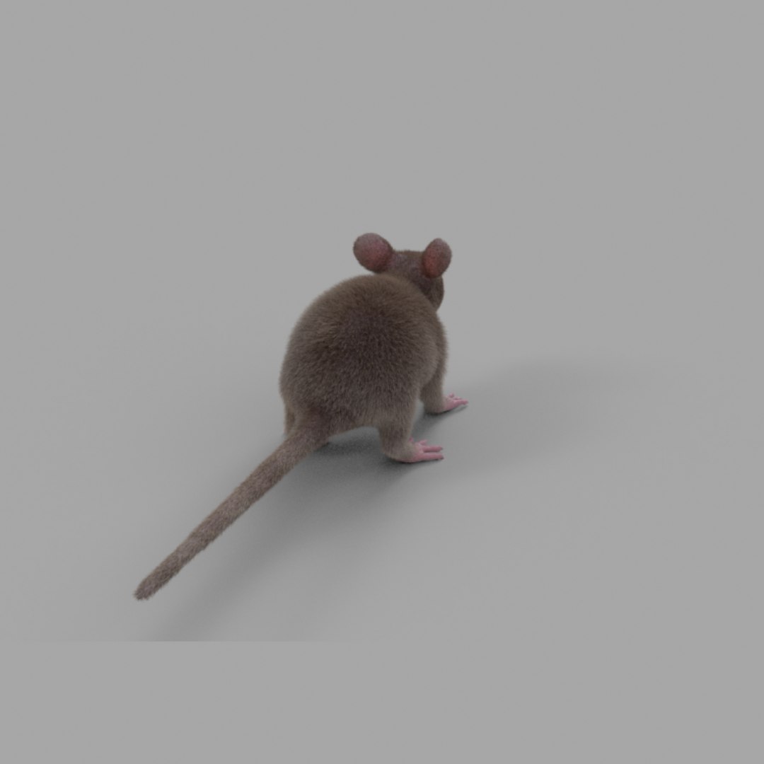 3D rat fur https://p.turbosquid.com/ts-thumb/rY/sLHhsu/rRfejBDD/mice_244/jpg/1585076338/1920x1080/fit_q87/d1b908276eed2b97418022b1039b091958dbb2d8/mice_244.jpg