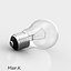 Bulb