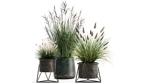 Reeds in a rusty Flowerpot for the interior 979 3D model