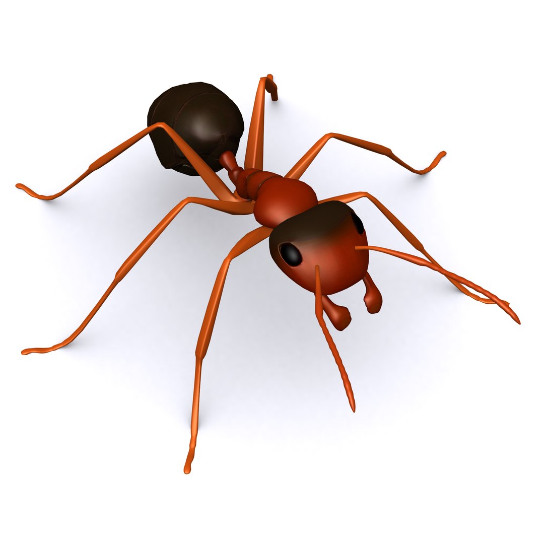 3D model ant https://p.turbosquid.com/ts-thumb/rZ/7aFlaU/DgsoNKnW/render3/jpg/1540229413/1920x1080/fit_q87/f79ba5b82a7fd19223c63de7183fd033f6959658/render3.jpg