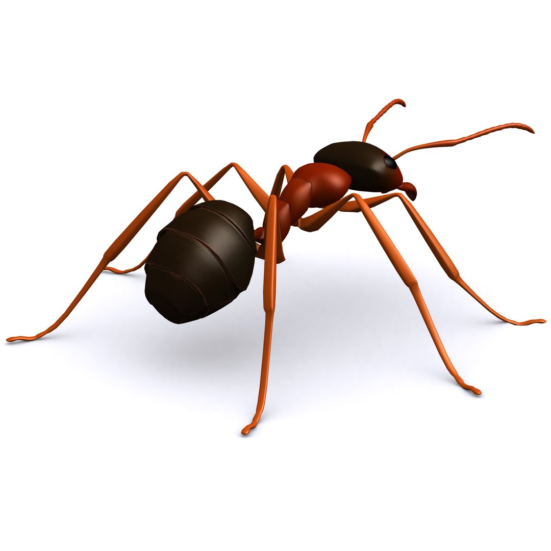 3D model ant https://p.turbosquid.com/ts-thumb/rZ/7aFlaU/XyVZfsSz/render4/jpg/1540229427/1920x1080/fit_q87/52151e158d5b6221c8c898e015c9e1f9797051c1/render4.jpg