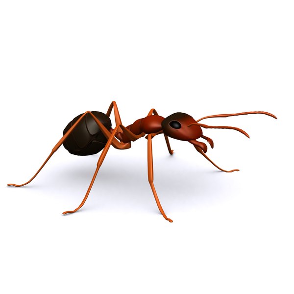 ArtStation - 🐜 Formigas Más 🐜