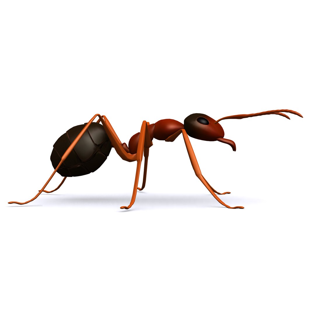 3D model ant https://p.turbosquid.com/ts-thumb/rZ/7aFlaU/iABbSn8m/render2/jpg/1540229399/1920x1080/fit_q87/58d5be51469d22d5ce5d1550f44decb0eec916d3/render2.jpg