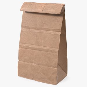 Paper Lunch Bag 3D model