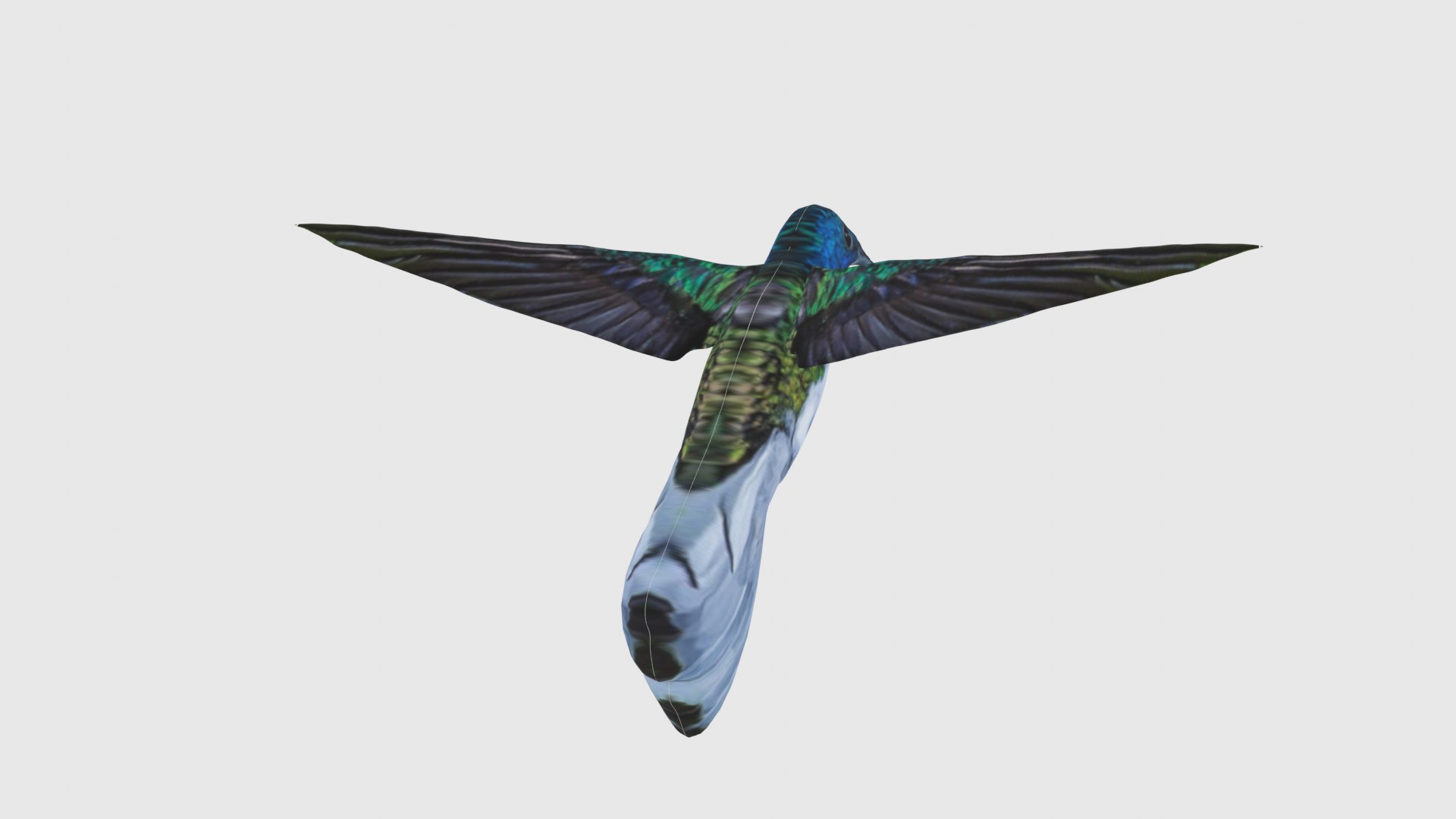 3D Low Poly Hummingbird Rigged With Realistic Texture - TurboSquid 1875965