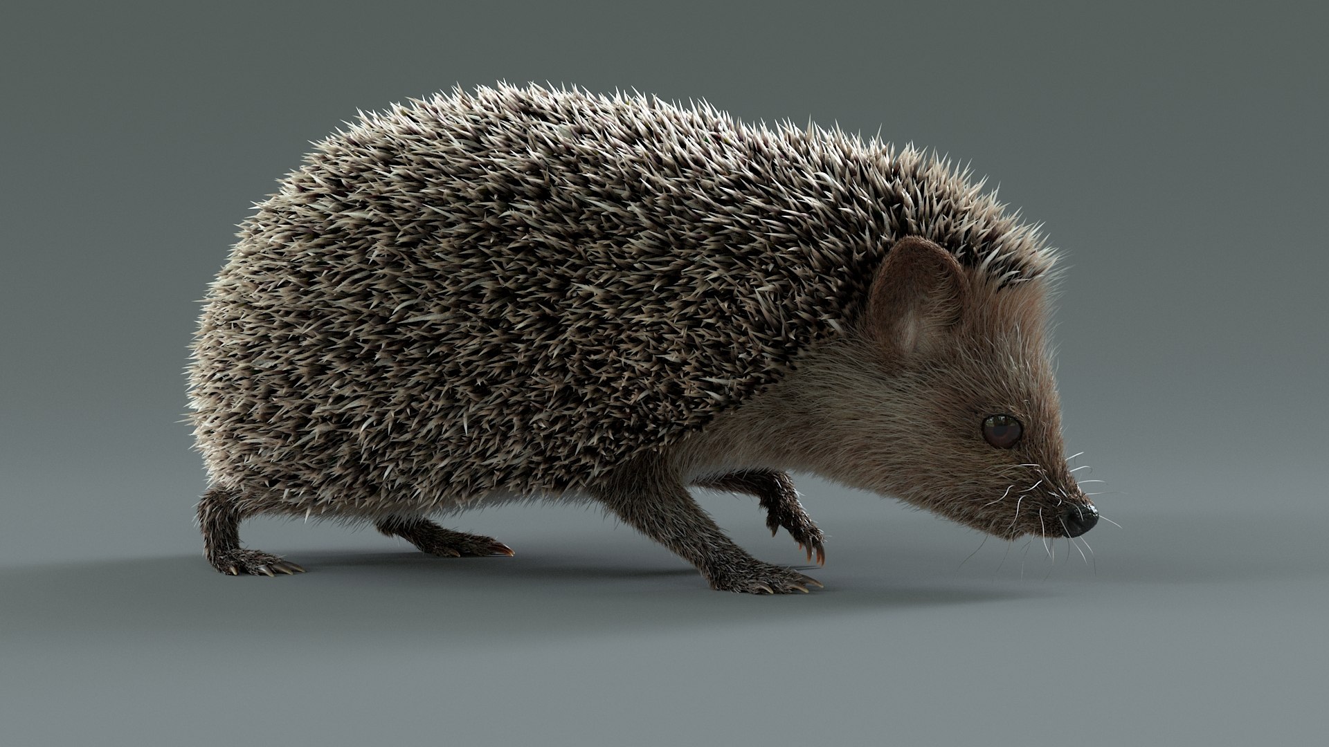 3D Hedgehog Rigged - TurboSquid 2350567