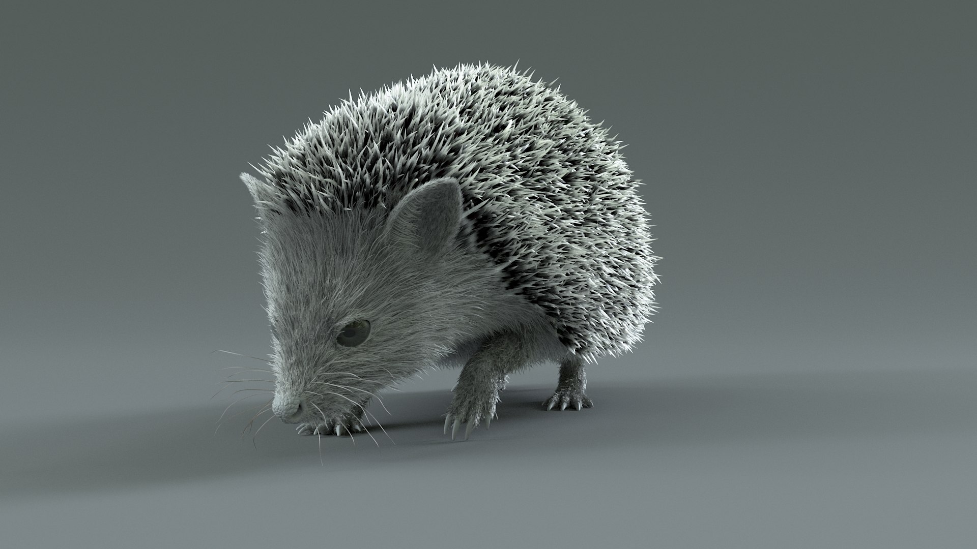 3D Hedgehog Rigged - TurboSquid 2350567
