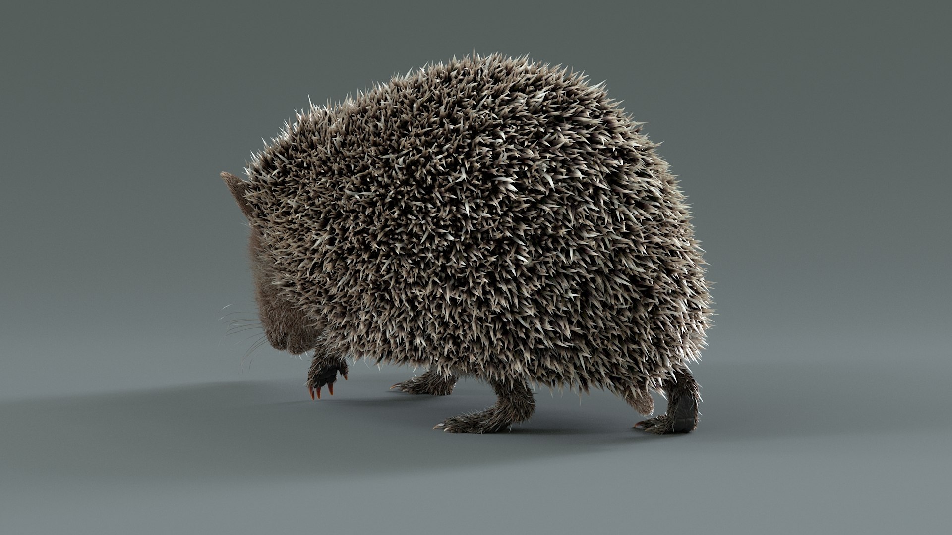 3D Hedgehog Rigged - TurboSquid 2350567