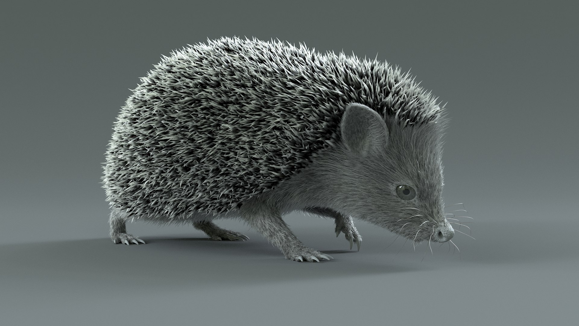 3D Hedgehog Rigged - TurboSquid 2350567