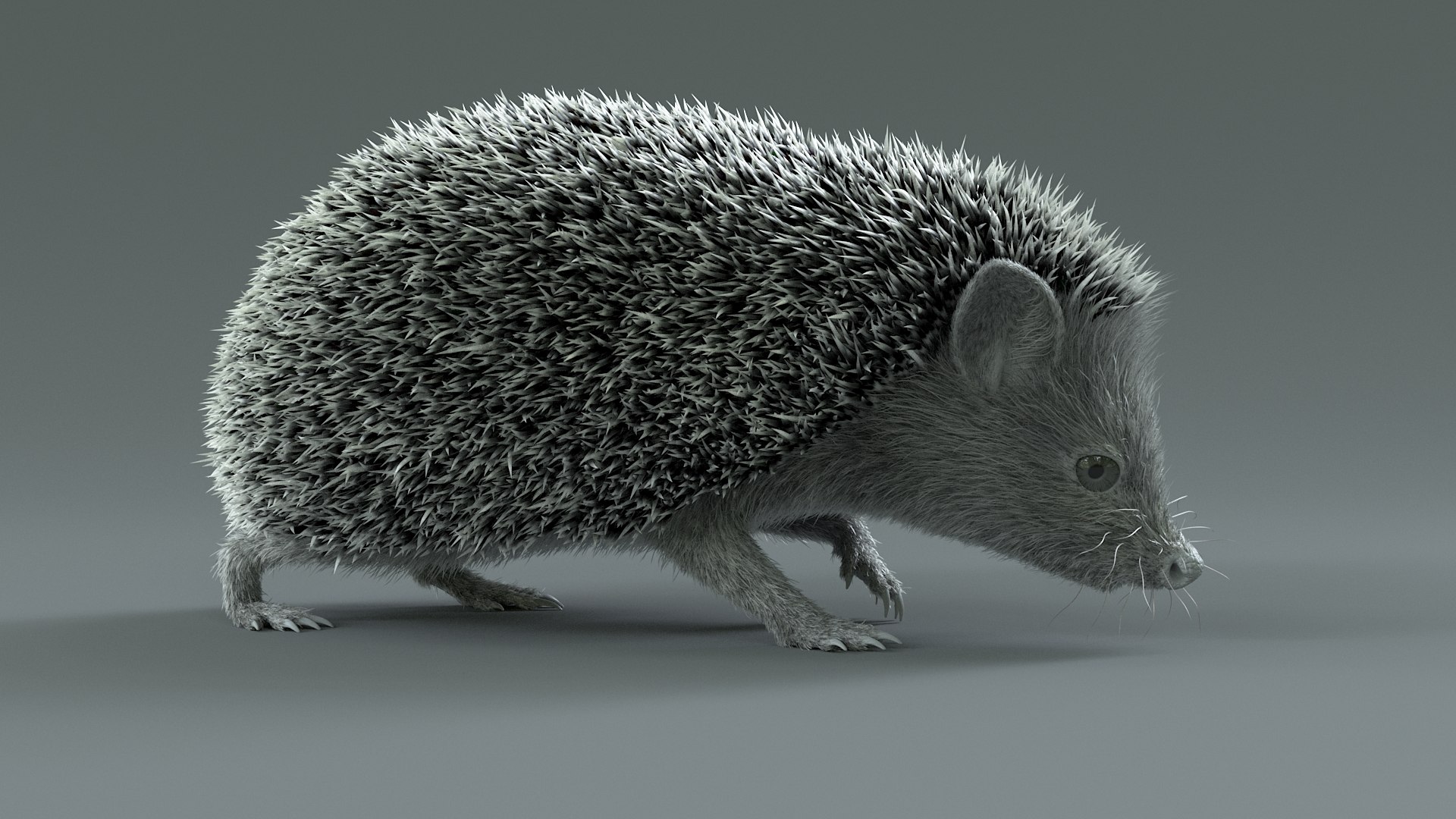 3D Hedgehog Rigged - TurboSquid 2350567
