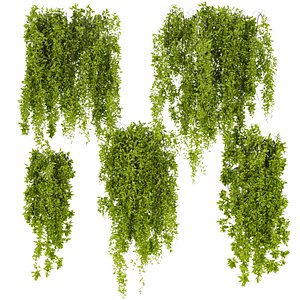 Collection plant vol 281 - outdoor - ivy - leaf - 3dmodel - 3dmax - fbx - obj