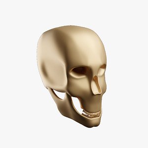 3D Skull 3D Model