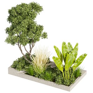 plant vol 867 -  grass - garden - leaf - palm 3D model
