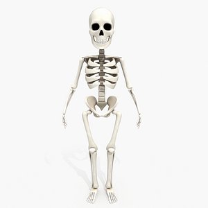3D Cartoon skeleton model