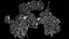 car engines junkyard partial ground photogrammetry