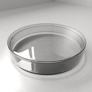 3D model glass petri dish