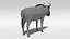 Antilope Gnou Gnou Cartoon Low Poly