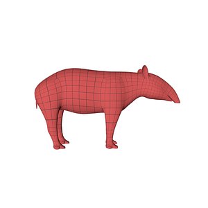 3d base mesh tapir model